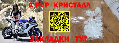 прущие грибы Заводоуковск