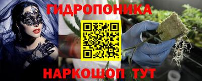 прущие грибы Заводоуковск