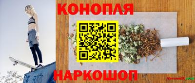 прущие грибы Заводоуковск
