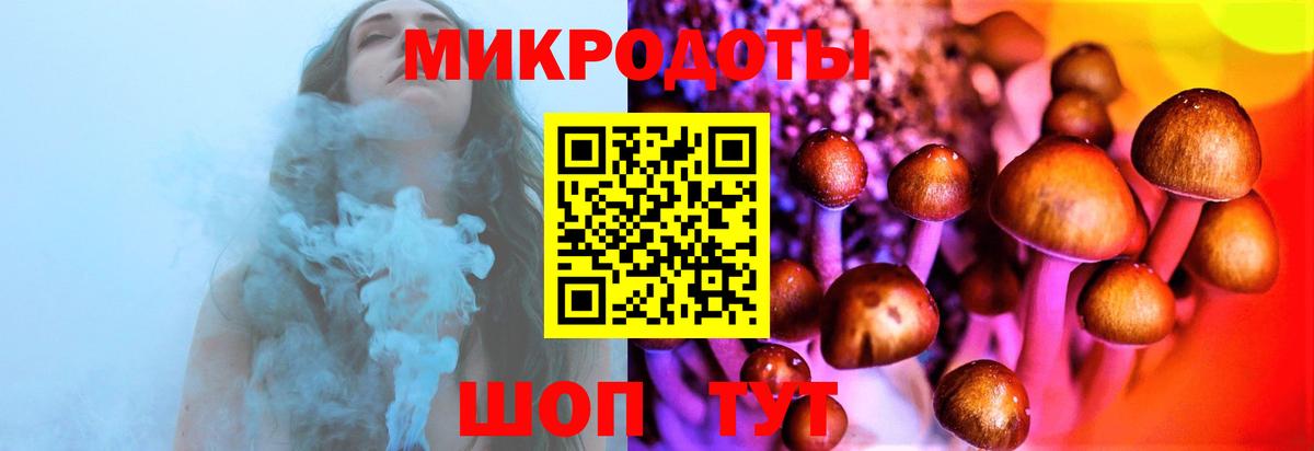 Магадан  Галлюциногенные грибы Psilocybe  Вход с VPN 